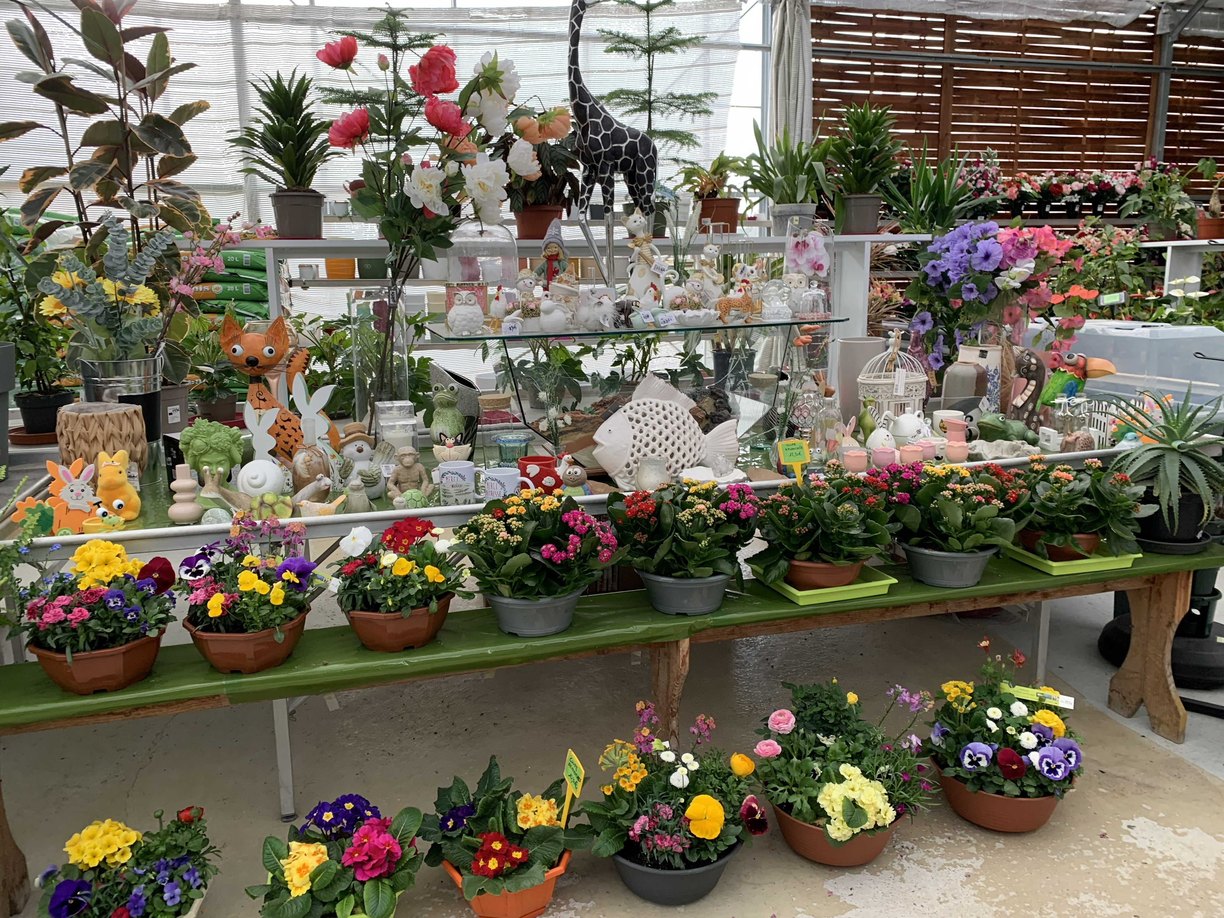 Composition printemps